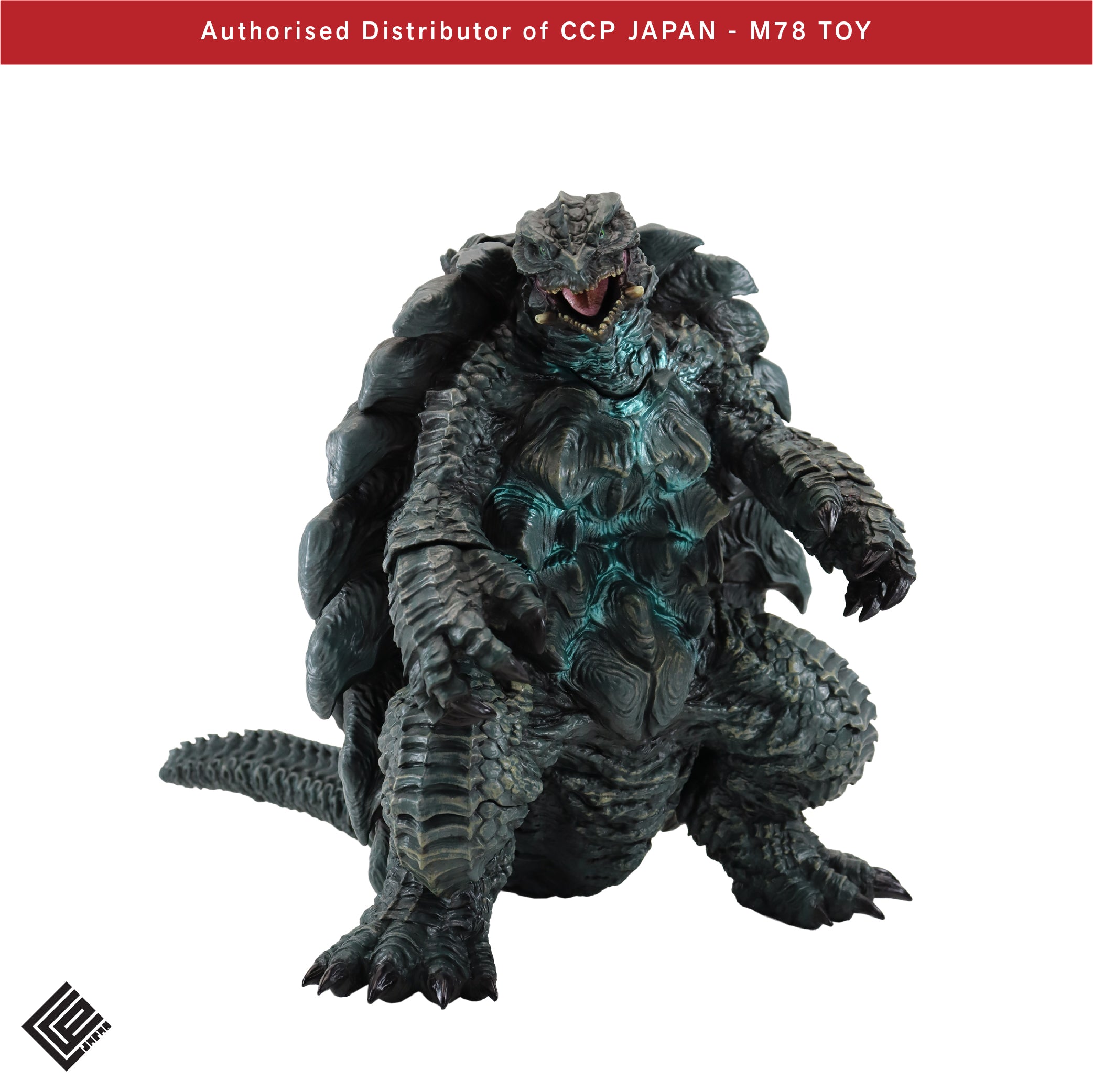 AMC 加美拉 (2023) CCP JAPAN