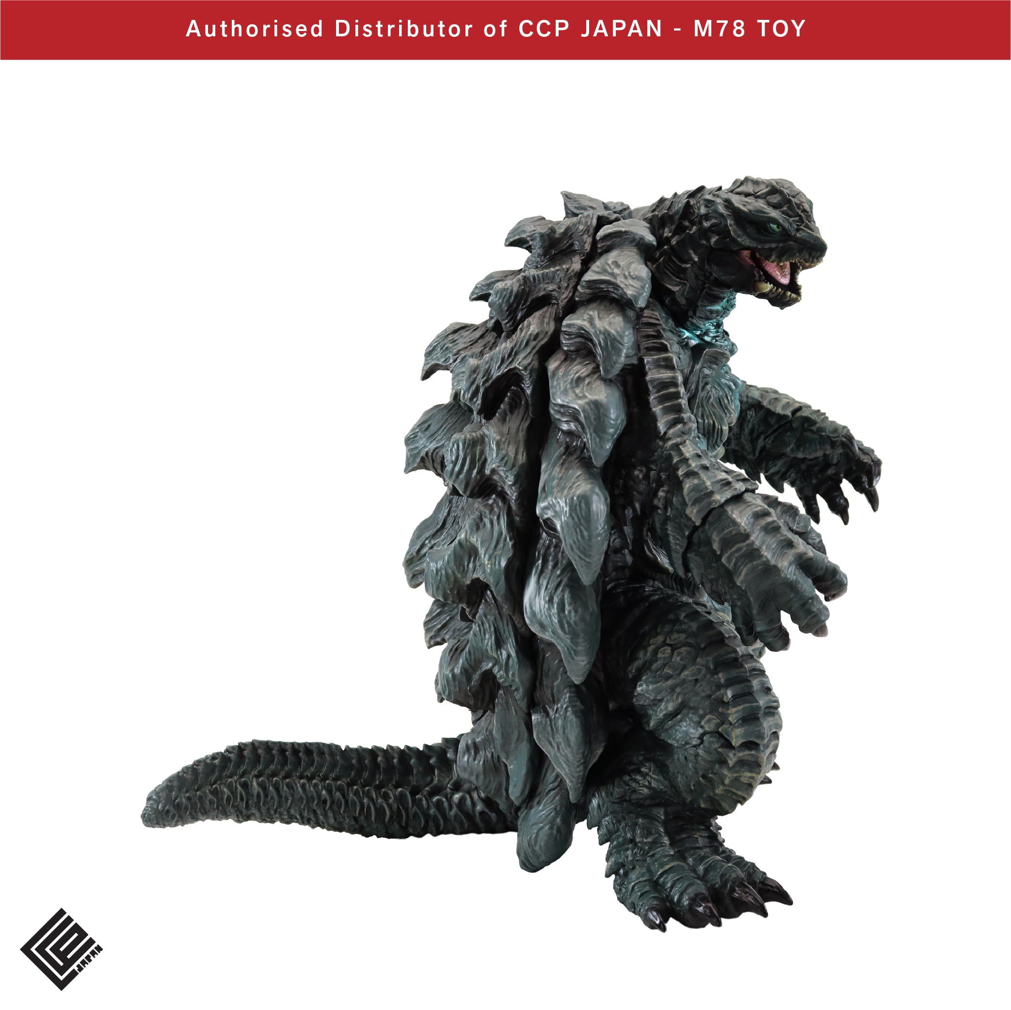 AMC 加美拉 (2023) CCP JAPAN